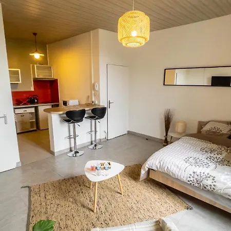 Apartment Studio Cosy Proche Centre / Gare